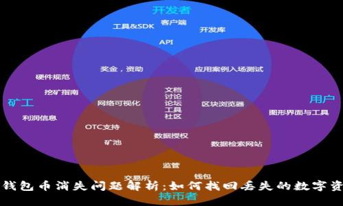 TP钱包币消失问题解析：如何找回丢失的数字资产