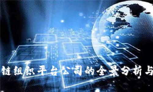 区块链组织平台公司的全景分析与推荐