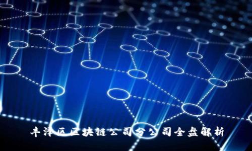 丰泽区区块链公司分公司全盘解析