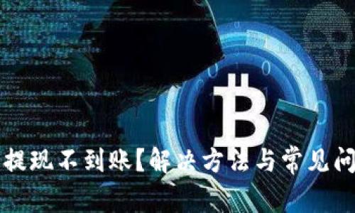 TP钱包提现不到账？解决方法与常见问题解析